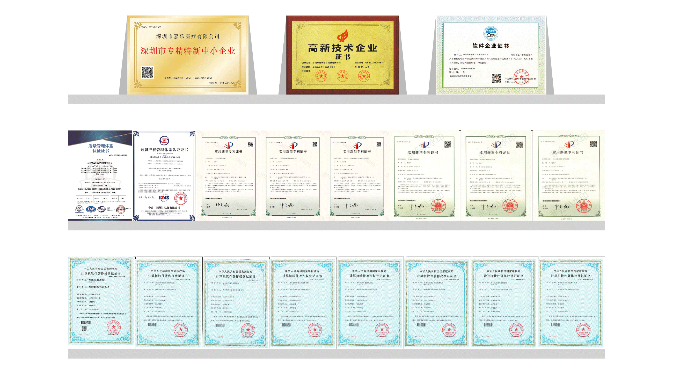 嘉樂醫(yī)療資質